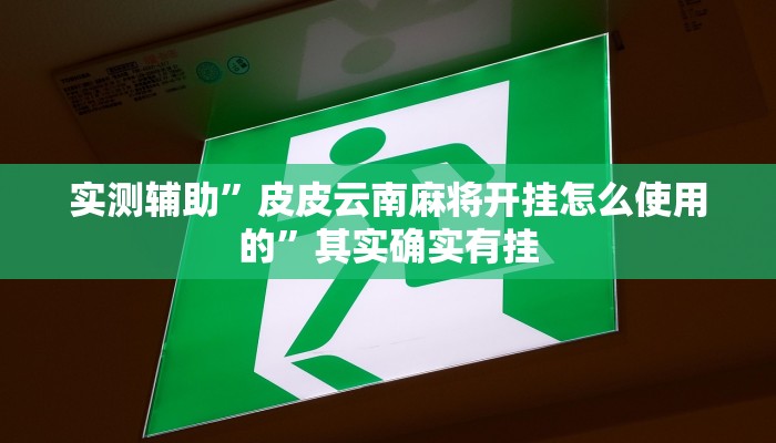 实测辅助”皮皮云南麻将开挂怎么使用的”其实确实有挂