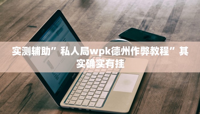 实测辅助”私人局wpk德州作弊教程”其实确实有挂