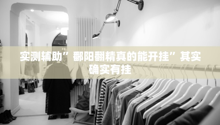 实测辅助”鄱阳翻精真的能开挂”其实确实有挂