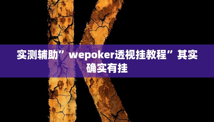实测辅助”wepoker透视挂教程”其实确实有挂
