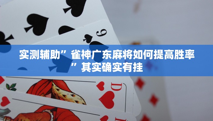 实测辅助”雀神广东麻将如何提高胜率”其实确实有挂