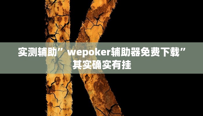 实测辅助”wepoker辅助器免费下载”其实确实有挂
