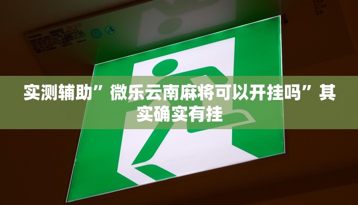 实测辅助”微乐云南麻将可以开挂吗”其实确实有挂