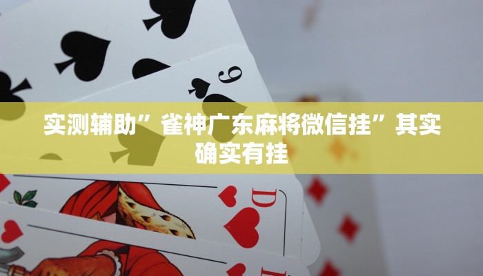 实测辅助”陕麻圈麻将输了能赢赢回来不”(原来确实是有挂)