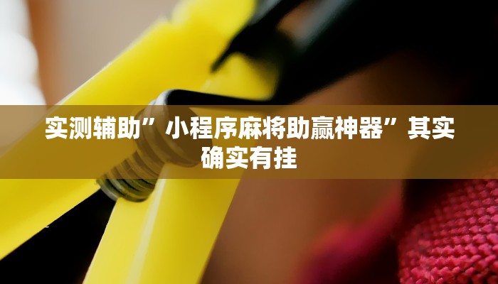 实测辅助”小程序麻将助赢神器”其实确实有挂