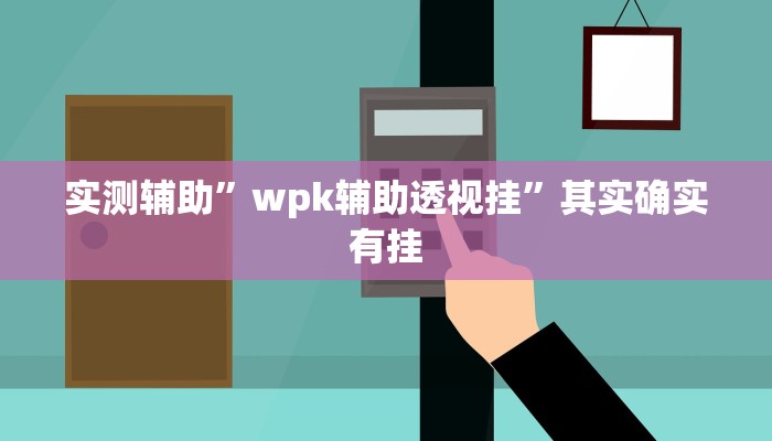 实测辅助”wpk辅助透视挂”其实确实有挂