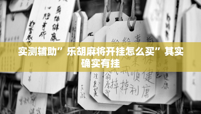 实测辅助”乐胡麻将开挂怎么买”其实确实有挂