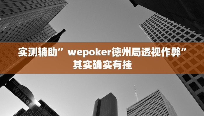 实测辅助”wepoker德州局透视作弊”其实确实有挂