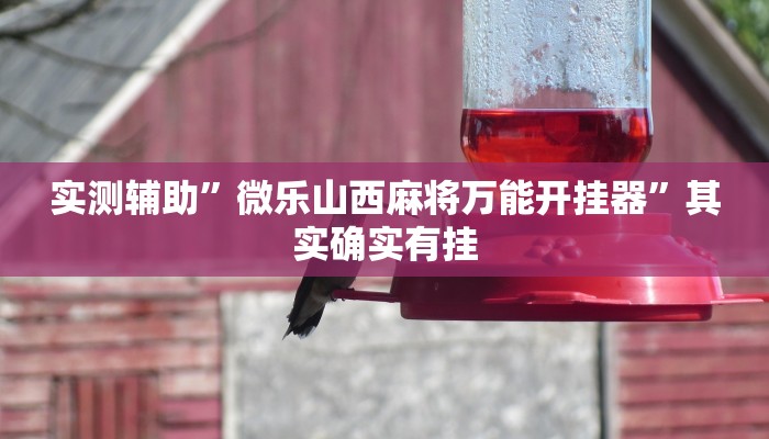 实测辅助”微乐山西麻将万能开挂器”其实确实有挂
