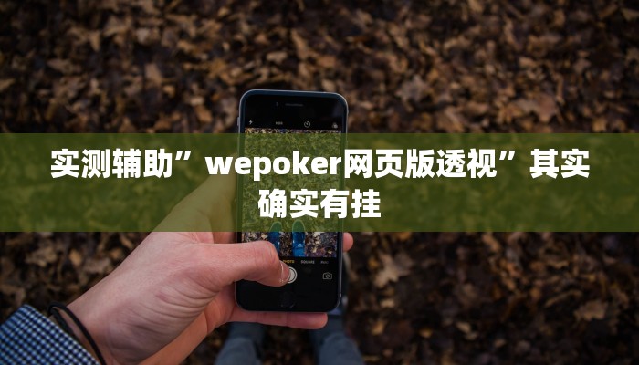 实测辅助”wepoker网页版透视”其实确实有挂