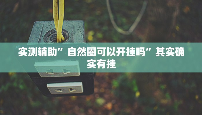 实测辅助”自然圈可以开挂吗”其实确实有挂