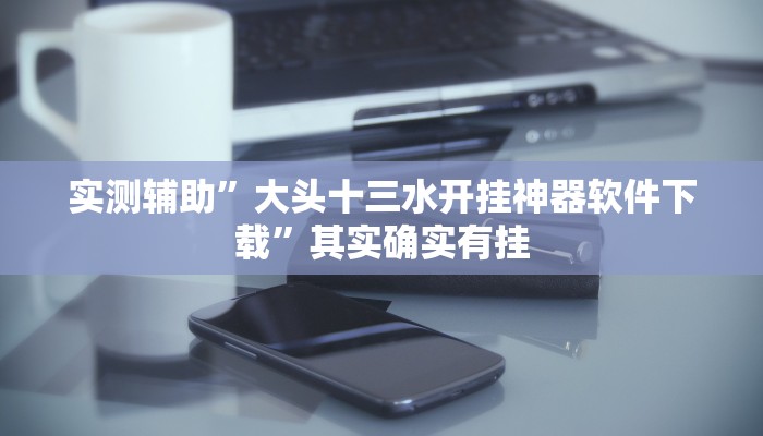 实测辅助”大头十三水开挂神器软件下载”其实确实有挂