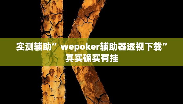 实测辅助”wepoker辅助器透视下载”其实确实有挂