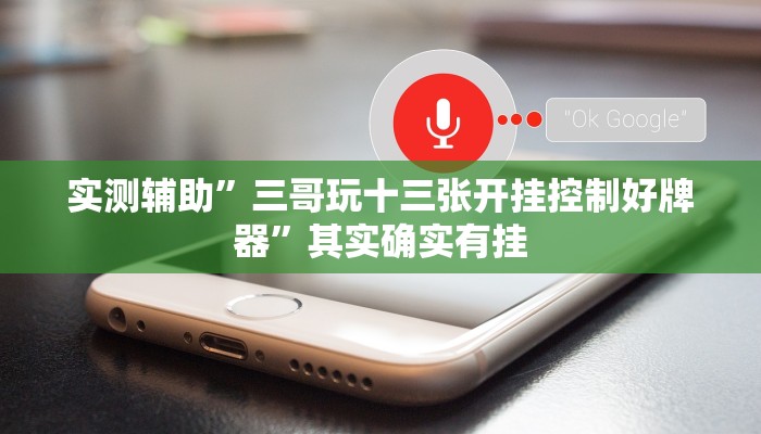 实测辅助”三哥玩十三张开挂控制好牌器”其实确实有挂