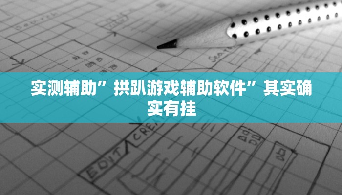 实测辅助”拱趴游戏辅助软件”其实确实有挂