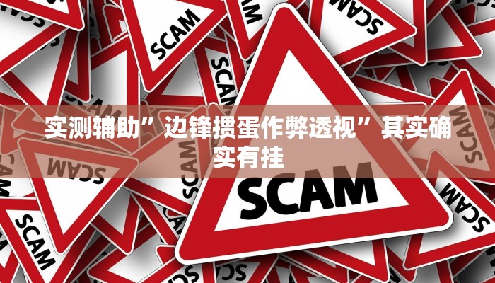 实测辅助”边锋掼蛋作弊透视”其实确实有挂