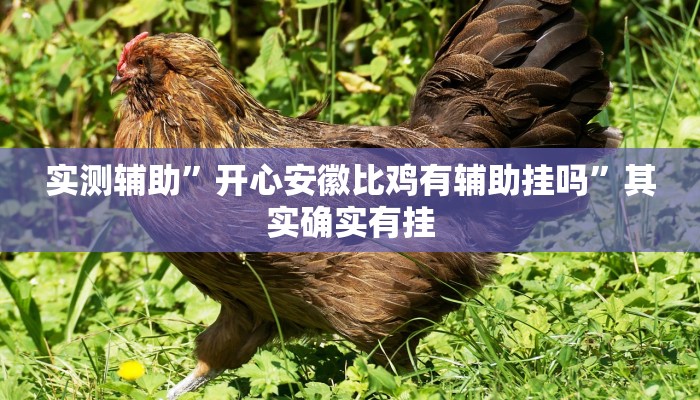 实测辅助”开心安徽比鸡有辅助挂吗”其实确实有挂