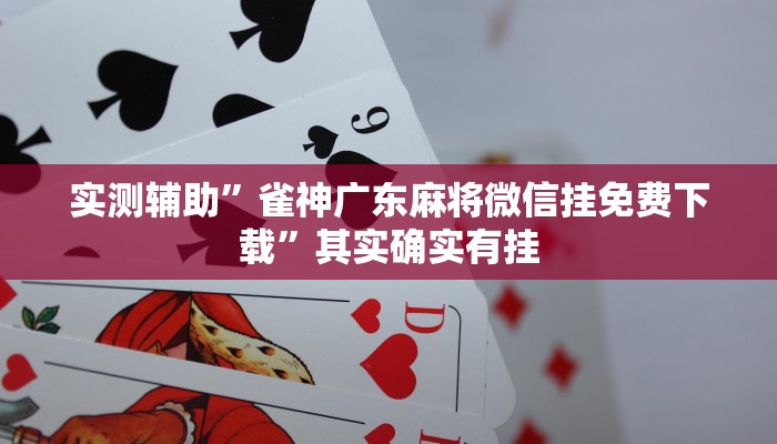 实测辅助”雀神广东麻将微信挂免费下载”其实确实有挂