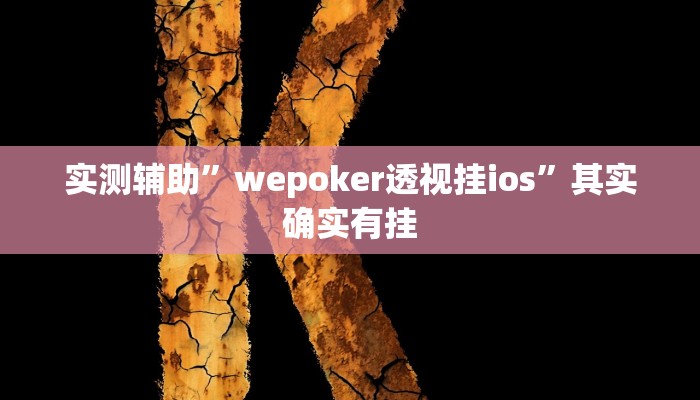 实测辅助”wepoker透视挂ios”其实确实有挂