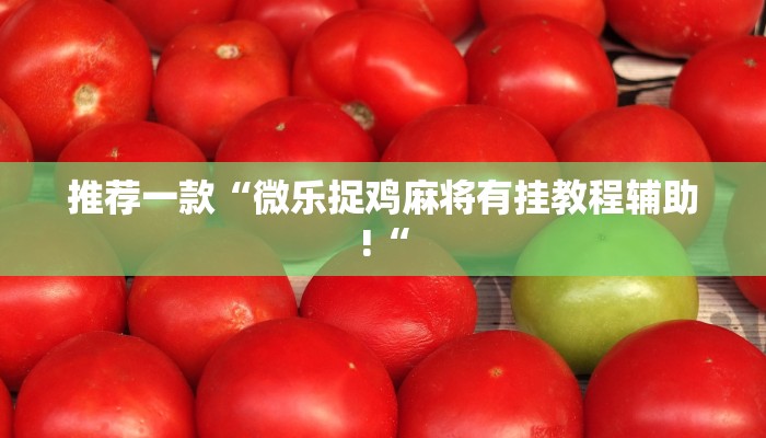 推荐一款“微乐捉鸡麻将有挂教程辅助!“