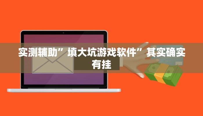 实测辅助”填大坑游戏软件”其实确实有挂