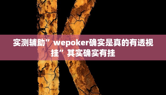 实测辅助”wepoker确实是真的有透视挂”其实确实有挂