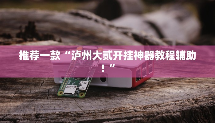 推荐一款“泸州大贰开挂神器教程辅助!“