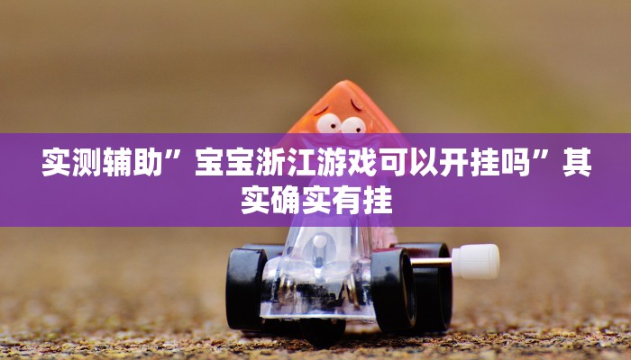 实测辅助”宝宝浙江游戏可以开挂吗”其实确实有挂