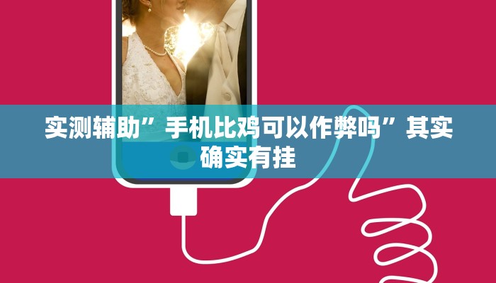 实测辅助”手机比鸡可以作弊吗”其实确实有挂