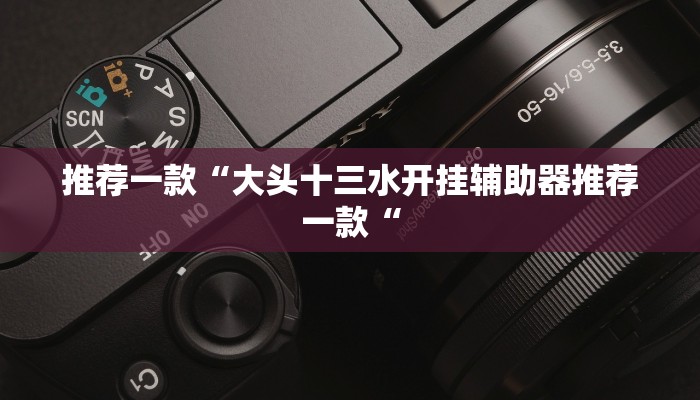 推荐一款“大头十三水开挂辅助器推荐一款“