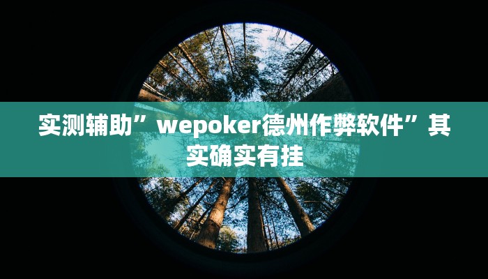 实测辅助”wepoker德州作弊软件”其实确实有挂