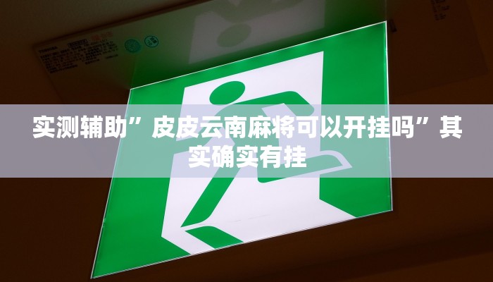 实测辅助”皮皮云南麻将可以开挂吗”其实确实有挂