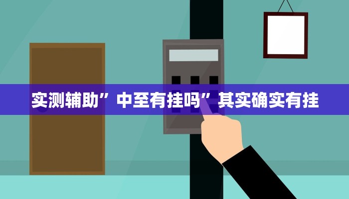 实测辅助”中至有挂吗”其实确实有挂