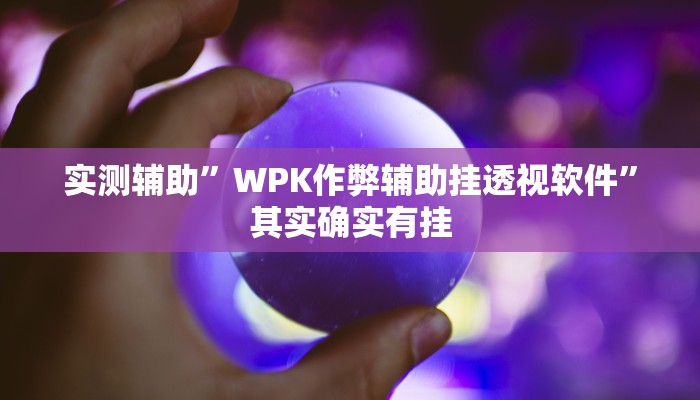 实测辅助”WPK作弊辅助挂透视软件”其实确实有挂