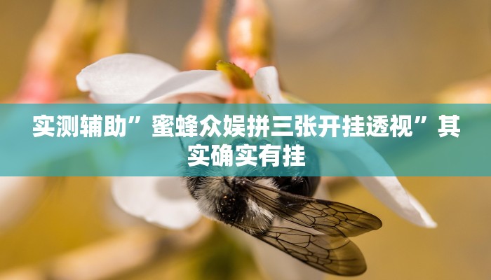 实测辅助”蜜蜂众娱拼三张开挂透视”其实确实有挂