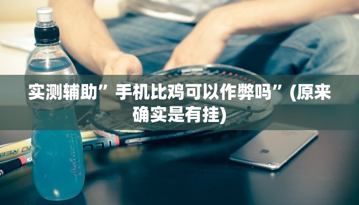 实测辅助”手机比鸡可以作弊吗”(原来确实是有挂)