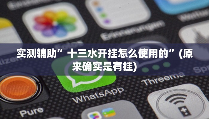 实测辅助”十三水开挂怎么使用的”(原来确实是有挂)
