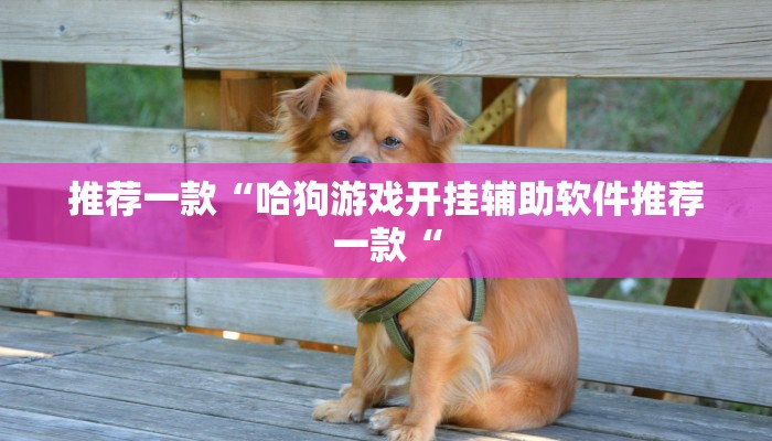 推荐一款“哈狗游戏开挂辅助软件推荐一款“