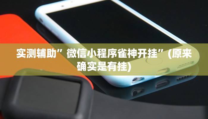 实测辅助”微信小程序雀神开挂”(原来确实是有挂)