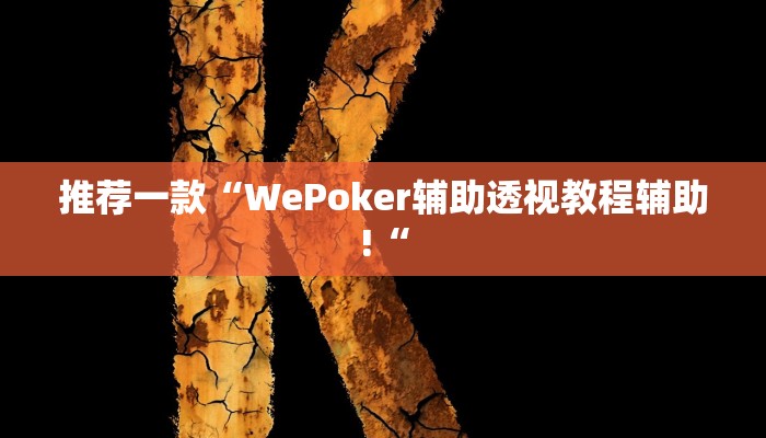 推荐一款“WePoker辅助透视教程辅助!“