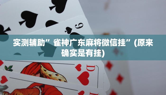 教程辅助!“玄龙大厅透视辅助教程辅助!“