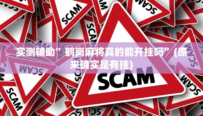 实测辅助”鹤岗麻将真的能开挂吗”(原来确实是有挂)