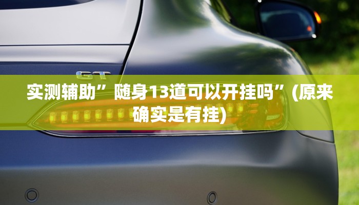 实测辅助”随身13道可以开挂吗”(原来确实是有挂)
