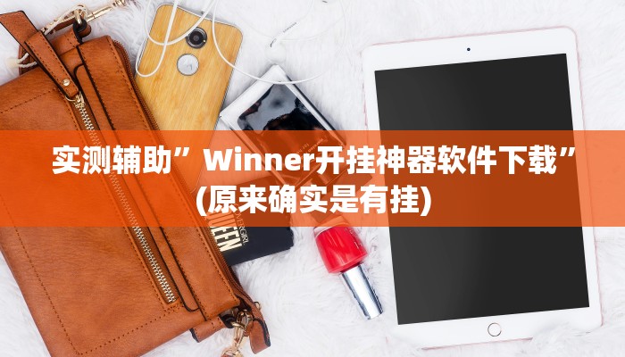 实测辅助”Winner开挂神器软件下载”(原来确实是有挂)
