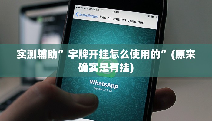 实测辅助”字牌开挂怎么使用的”(原来确实是有挂)