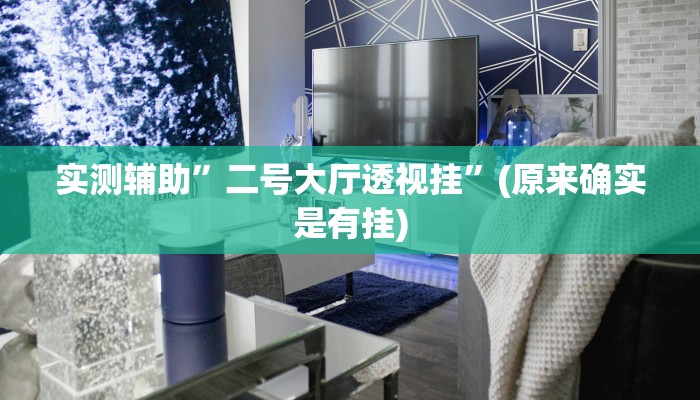 实测辅助”二号大厅透视挂”(原来确实是有挂)