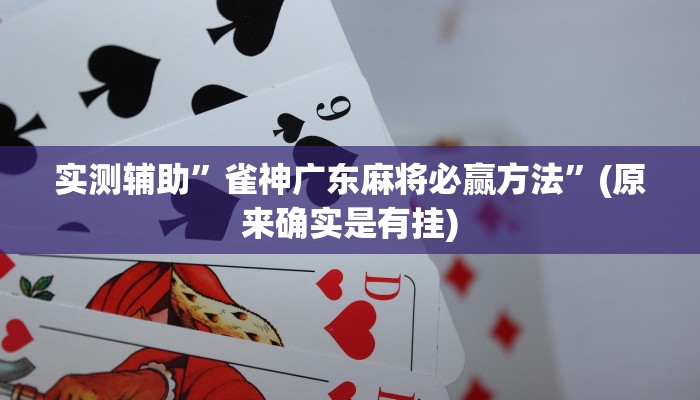 实测辅助”雀神广东麻将必赢方法”(原来确实是有挂)