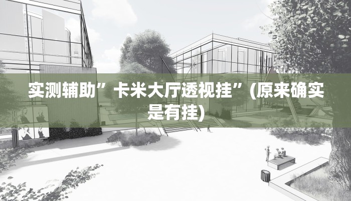 实测辅助”卡米大厅透视挂”(原来确实是有挂)