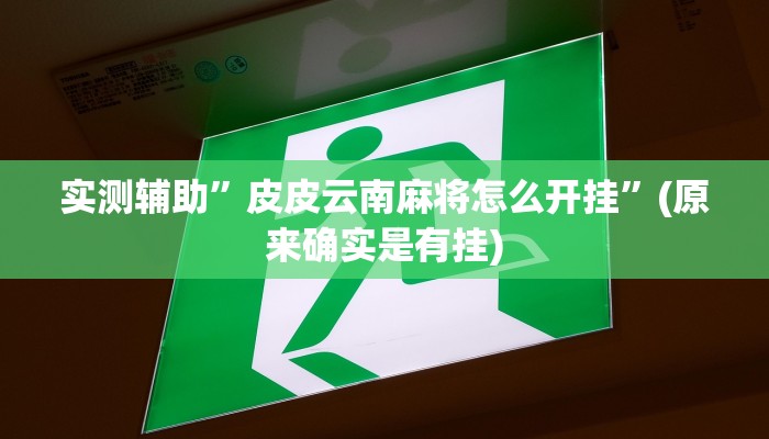 实测辅助”皮皮云南麻将怎么开挂”(原来确实是有挂)