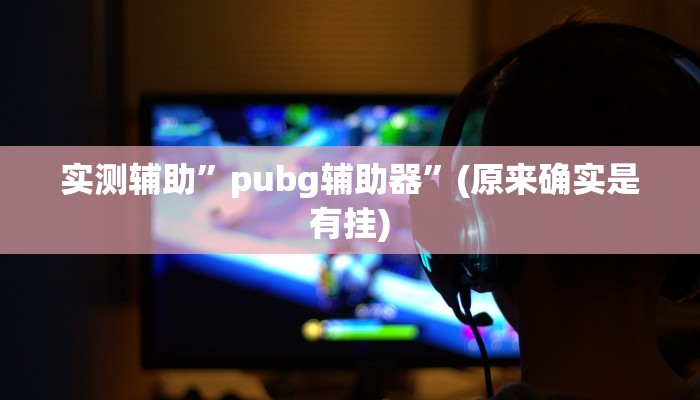 实测辅助”pubg辅助器”(原来确实是有挂)